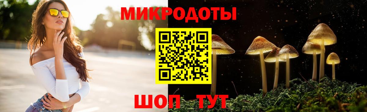 Люберцы  Псилоцибиновые грибы GOLDEN TEACHER  Вход с VPN 
